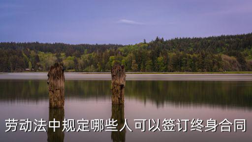 什么人能寫法律合同的規(guī)定，勞動(dòng)法中規(guī)定哪些人可以簽訂終身合同