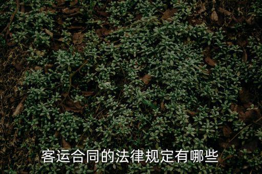 客運(yùn)合同的法律規(guī)定有哪些