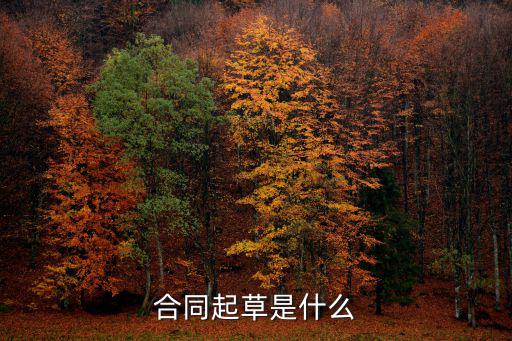 合同起草的范圍是什么法律，自行起草的合同有沒有法律效力
