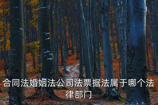 合同法是哪個法律部門，合同法婚姻法公司法票據(jù)法屬于哪個法律部門
