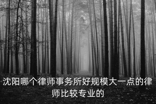 沈陽周邊合同法律師哪個(gè)好，沈陽哪個(gè)律師事務(wù)所好規(guī)模大一點(diǎn)的律師比較專業(yè)的