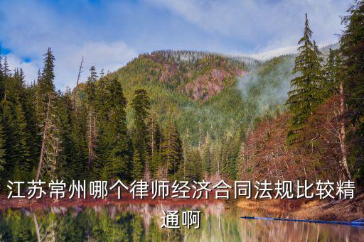 江蘇常州哪個律師經(jīng)濟合同法規(guī)比較精通啊