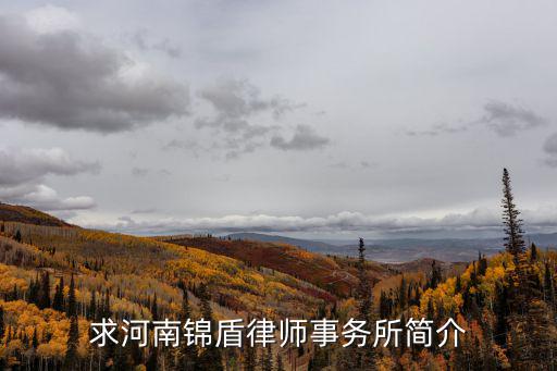 河南鄭州合同法律師有哪些，求河南錦盾律師事務(wù)所簡介