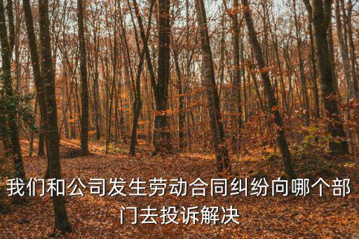 我們和公司發(fā)生勞動合同糾紛向哪個部門去投訴解決