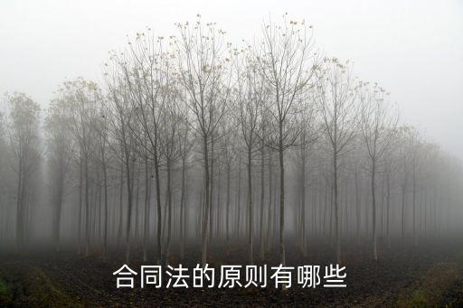合同法的原則有哪些