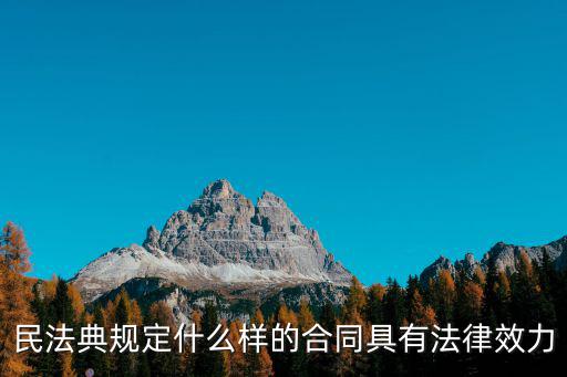 民法典規(guī)定什么樣的合同具有法律效力