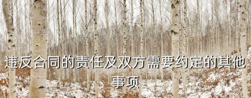 違反合同負(fù)什么法律責(zé)任，違反合同的責(zé)任及雙方需要約定的其他事項(xiàng)