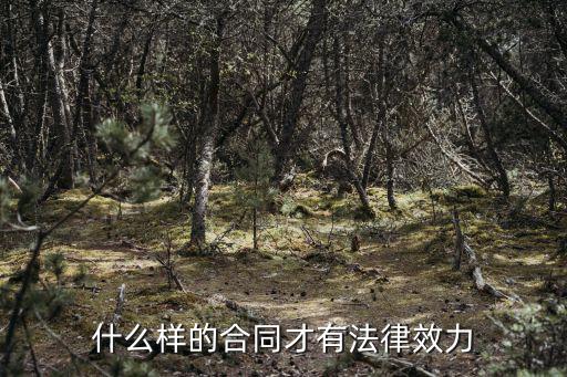 什么樣的合同才有法律效力