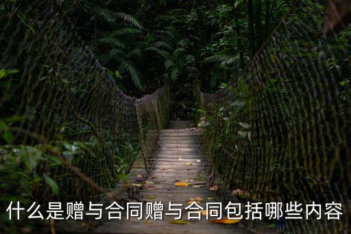什么是贈與合同贈與合同包括哪些內(nèi)容