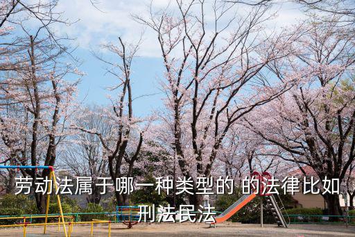 勞動(dòng)法屬于哪一種類型的 的法律比如刑法民法