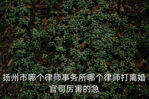 揚(yáng)州合同法律師哪個(gè)服務(wù)好，揚(yáng)州哪個(gè)律師好