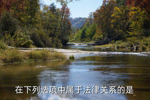 在下列選項(xiàng)中屬于法律關(guān)系的是