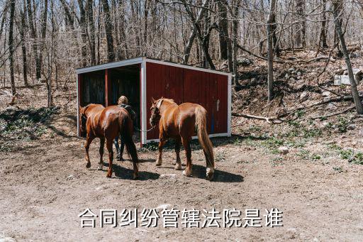 合同糾紛管轄法院是誰