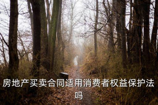 房地產(chǎn)買賣合同適用消費(fèi)者權(quán)益保護(hù)法嗎