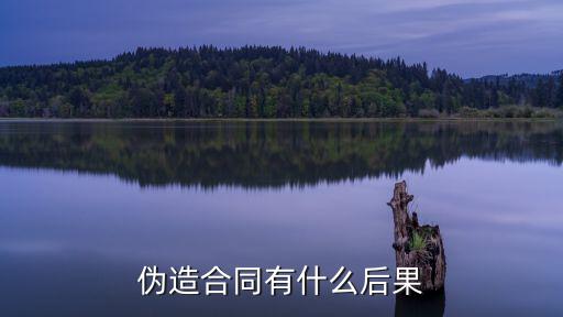 偽造合同有什么后果