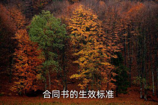 合同書的生效標(biāo)準(zhǔn)