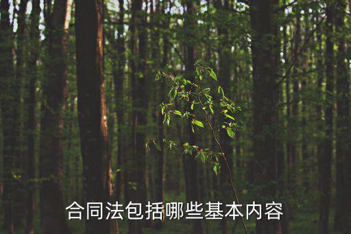 合同法包括哪些基本內(nèi)容