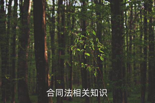 合同法相關(guān)知識(shí)