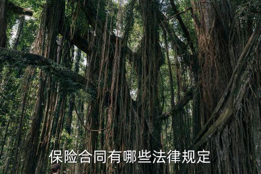 保險合同適用的法律有哪些，簽訂保險合同要遵守哪些法律法規(guī)