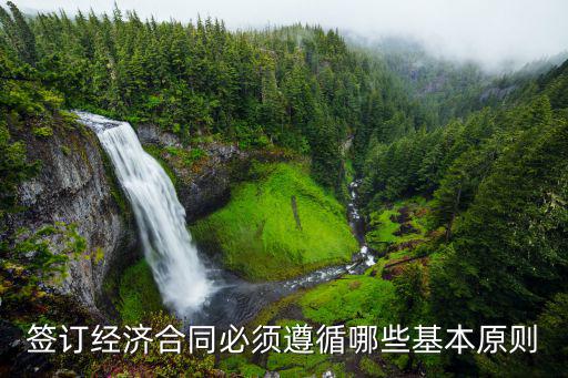 簽經(jīng)濟(jì)合同有哪些法律依據(jù)，簽訂經(jīng)濟(jì)合同必須遵循哪些基本原則