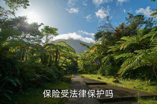 保險合同中哪些是法律保護，簽訂保險合同要遵守哪些法律法規(guī)