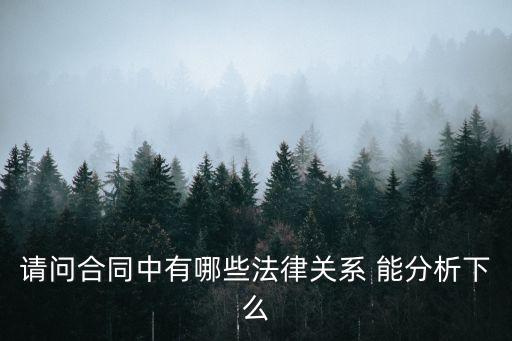 請問合同中有哪些法律關(guān)系 能分析下么