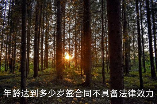 合同多少歲具有法律效力，簽訂合同需要多少歲才能具有法律效益