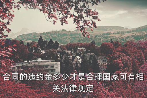 合同的違約金多少才是合理國家可有相關(guān)法律規(guī)定