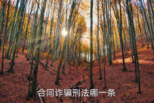 合同詐騙刑法哪一條