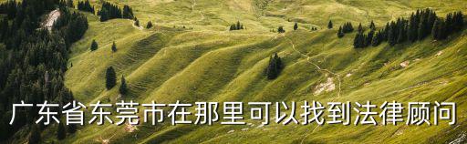 廣東省東莞市在那里可以找到法律顧問