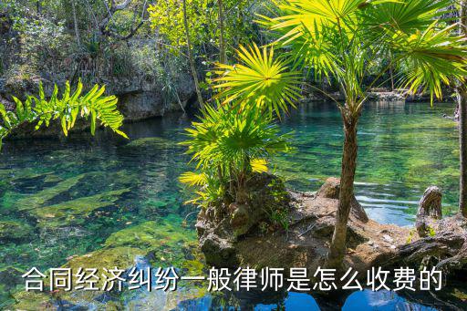 合同經(jīng)濟(jì)糾紛一般律師是怎么收費(fèi)的