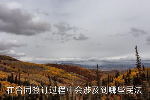 合同一般會涉及哪些法律，在合同簽訂過程中會涉及到哪些民法