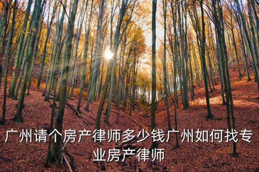 廣州請個房產(chǎn)律師多少錢廣州如何找專業(yè)房產(chǎn)律師