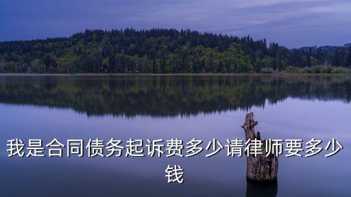 平房區(qū)合同法律師費用多少，合同法對于律師費的承擔(dān)有規(guī)定么