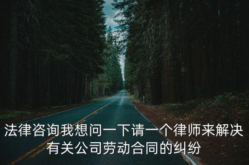 法律咨詢我想問(wèn)一下請(qǐng)一個(gè)律師來(lái)解決有關(guān)公司勞動(dòng)合同的糾紛