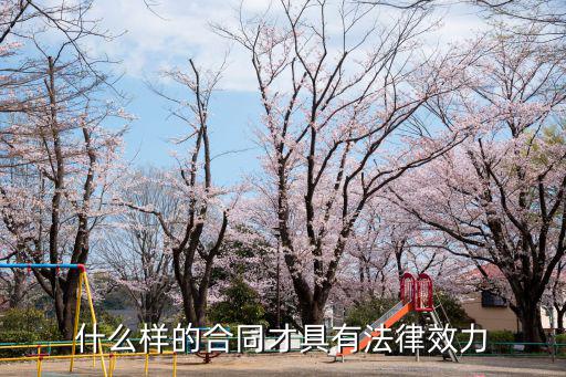 簽合同有哪些法律責任和效力，關于合同法律責任
