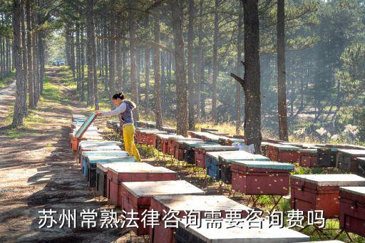 蘇州常熟法律咨詢需要咨詢費(fèi)嗎