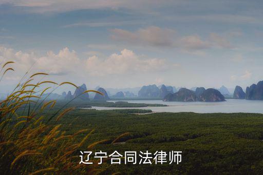 遼寧合同法律師