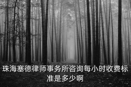 珠海塞德律師事務(wù)所咨詢每小時收費標準是多少啊