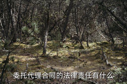 委托代理合同的法律責(zé)任有什么