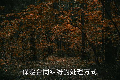 保險(xiǎn)合同糾紛的處理方式