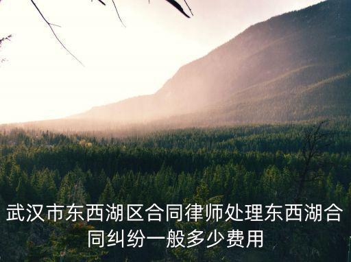 武漢市東西湖區(qū)合同律師處理東西湖合同糾紛一般多少費(fèi)用