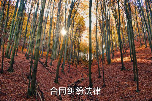 合同糾紛法律