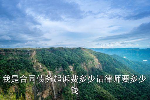我是合同債務起訴費多少請律師要多少錢