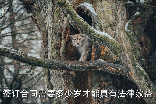 簽訂合同需要多少歲才能具有法律效益