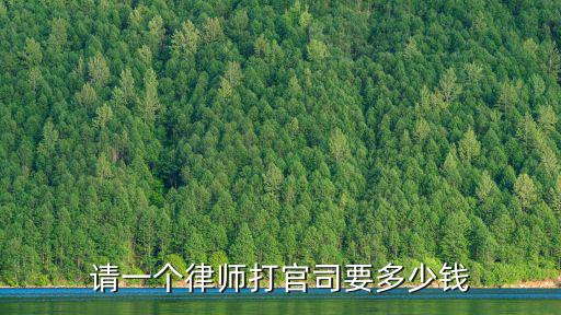 請一個律師打官司要多少錢