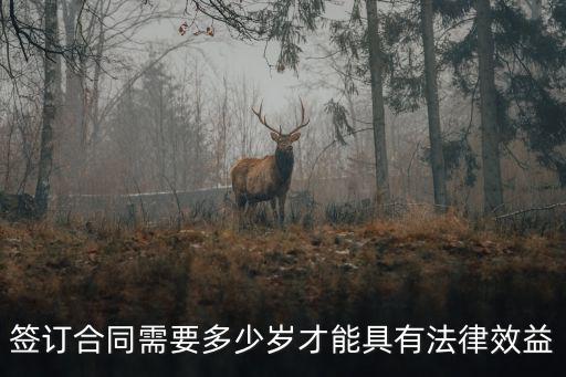 簽訂合同需要多少歲才能具有法律效益