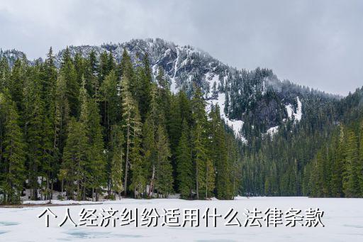 個人經(jīng)濟(jì)糾紛適用什么法律條款