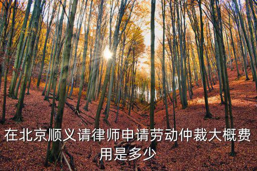 在北京順義請(qǐng)律師申請(qǐng)勞動(dòng)仲裁大概費(fèi)用是多少