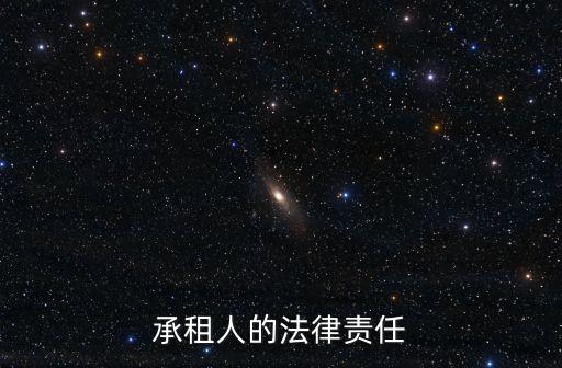 承租合同的法律責(zé)任有哪些，承租法律責(zé)任